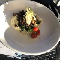 ❣️ mushrooms had a very strong taste that i wasn’t the biggest fan of, but my bf loved it. at Plant in Asheville
