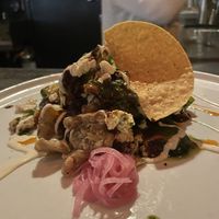   at Plant in Asheville