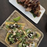 Plant - Asheville North Carolina Restaurant - HappyCow