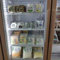 Cheese at Graines Et Cailloux in Bordeaux