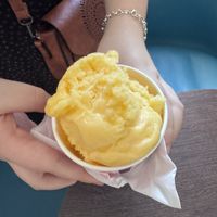 Mango sorbet   at Loopy Scoops in York