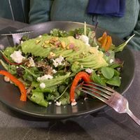 Avocado salad (vegetarian) at The Avocado Show in Leidschendam