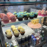 Display case   at Plant Blonde in Glasgow