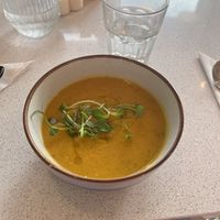   at Plant Blonde in Glasgow