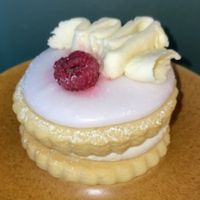   at Plant Blonde in Glasgow