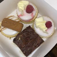   at Plant Blonde in Glasgow