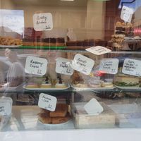  at Plant Blonde in Glasgow