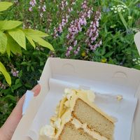 Lemon cake slice at Plant Blonde in Glasgow