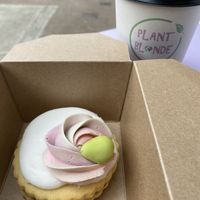   at Plant Blonde in Glasgow