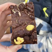   at Plant Blonde in Glasgow