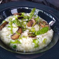 Risotto with green asparagus at Steinhaus1718 in Budingen