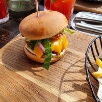  at Steinhaus1718 in Budingen