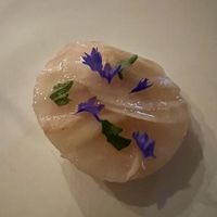   at Steinhaus1718 in Budingen