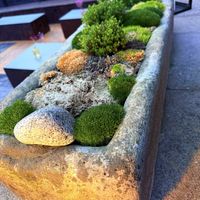   at Steinhaus1718 in Budingen