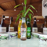 Refrigerante orgânico, Kombuchas e as amadas pasta de soja! at Maná - Mercado Natural in Peruibe