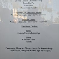 Vegan flavors at Jaxson's Ice Cream Parlor & Restaurant in Dania Beach