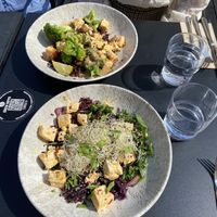 The Trendsetter and Tofu Bowl  at Green Hippo - Töölö in Helsinki