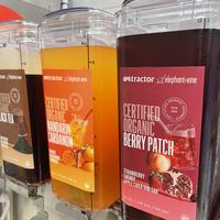   at elephant + vine  in Evanston