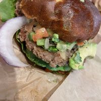   at elephant + vine  in Evanston