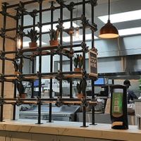  at elephant + vine  in Evanston