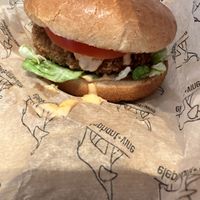   at elephant + vine  in Evanston