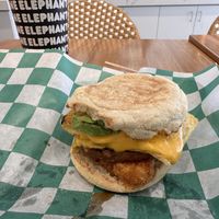   at elephant + vine  in Evanston