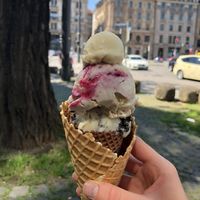   at Eisbrunnen - Vegan Ice Cream in Munich