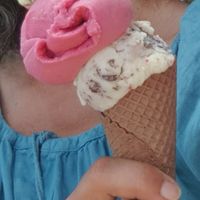 Hibiscus-citron vert et forêt noire at Eisbrunnen - Vegan Ice Cream in Munich