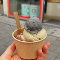  at Eisbrunnen - Vegan Ice Cream in Munich