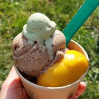  at Eisbrunnen - Vegan Ice Cream in Munich