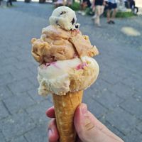  at Eisbrunnen - Vegan Ice Cream in Munich