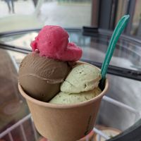  at Eisbrunnen - Vegan Ice Cream in Munich