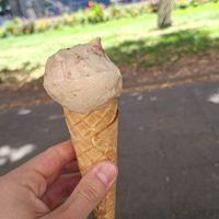  at Eisbrunnen - Vegan Ice Cream in Munich