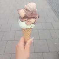 mint chocolate chip, peanut butter chocolate and toasted cinnamon sample at Eisbrunnen - Vegan Ice Cream in Munich