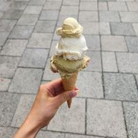 pumpkin seed raspberry, orange walnut nogurt and pistachio sample at Eisbrunnen - Vegan Ice Cream in Munich