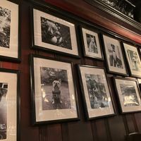 Decoration at Good Dog Bar in Philadelphia