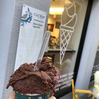 Small portion vegan chocolate   at Cuckoo Ice Cream in Luzern
