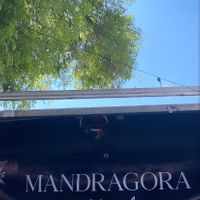   at Mandragora Vegan in Mexico City