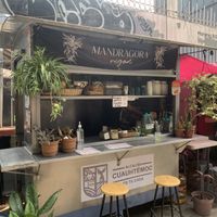 The aesthetics tho 🤍  at Mandragora Vegan in Mexico City