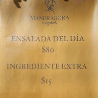  at Mandragora Vegan in Mexico City