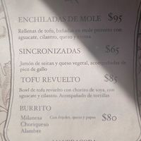  at Mandragora Vegan in Mexico City