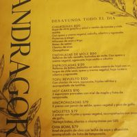 4/2024 at Mandragora Vegan in Mexico City