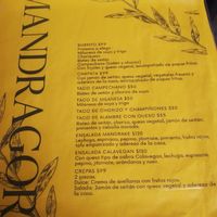 4/2024 at Mandragora Vegan in Mexico City