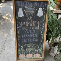   at Mandragora Vegan in Mexico City