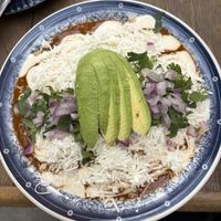 Enchiladas de mole   at Mandragora Vegan in Mexico City