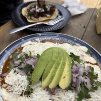 Enchiladas y tacos   at Mandragora Vegan in Mexico City