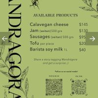 Menu  at Mandragora Vegan in Mexico City