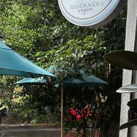 Outdoor seating  at Mandragora Vegan in Mexico City
