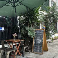   at Mandragora Vegan in Mexico City