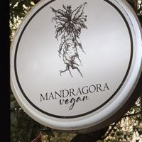  at Mandragora Vegan in Mexico City
